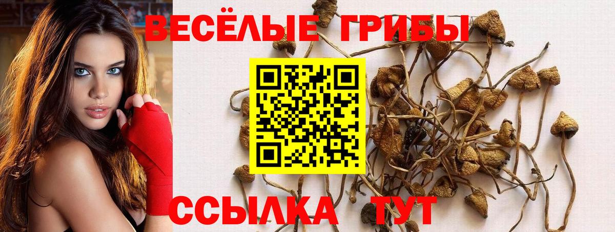 Минусинск  Псилоцибиновые грибы прущие грибы  хочу   Вход с VPN 