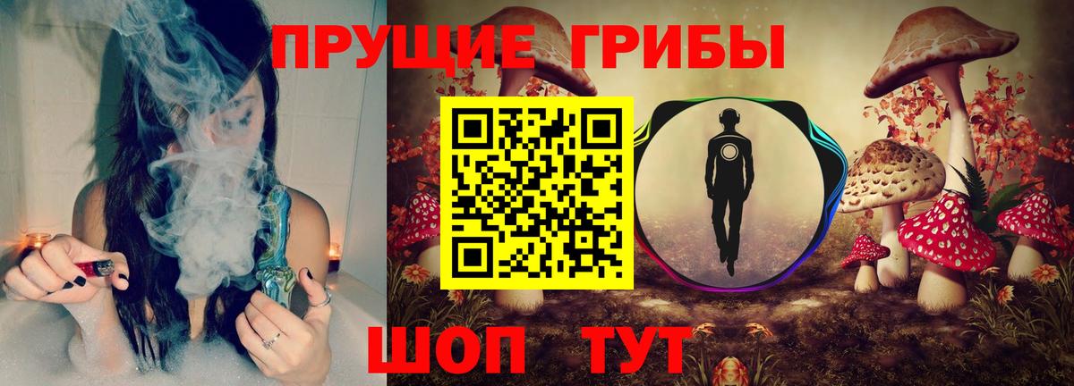 Псилоцибиновые грибы Psilocybe Минусинск